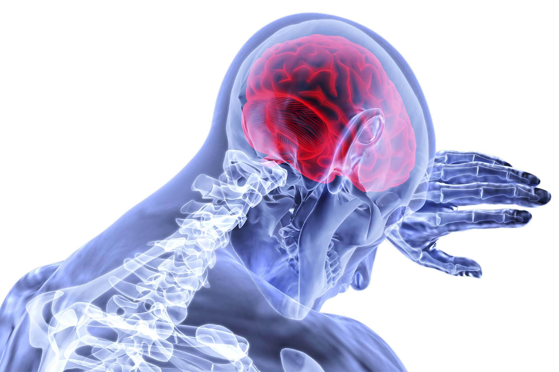 neurologiai-gyogytorna