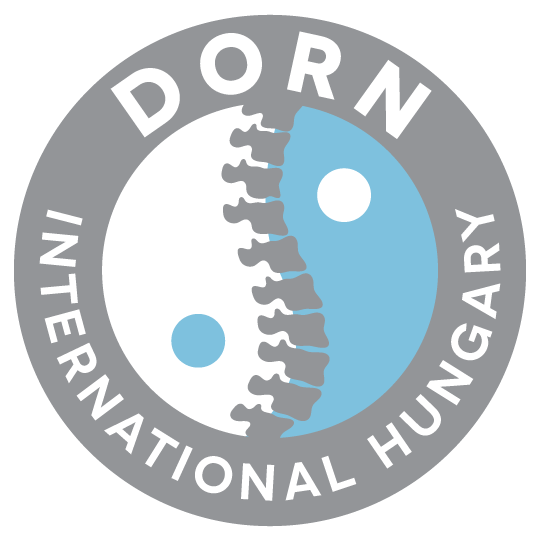 4.képDorn logo dorn logo