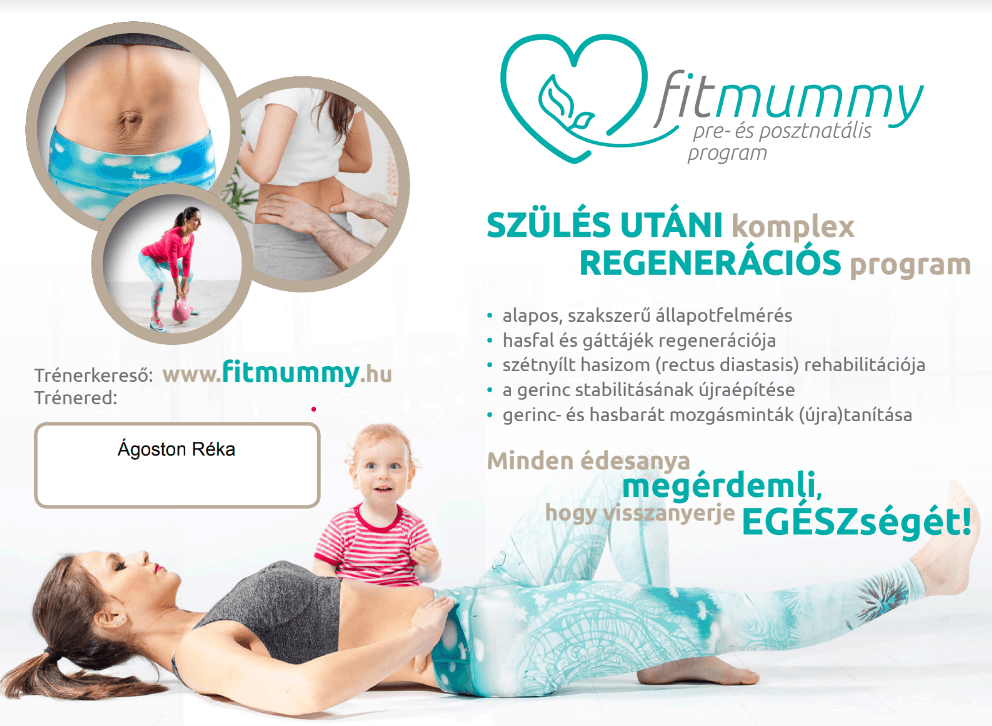 fitmummy program